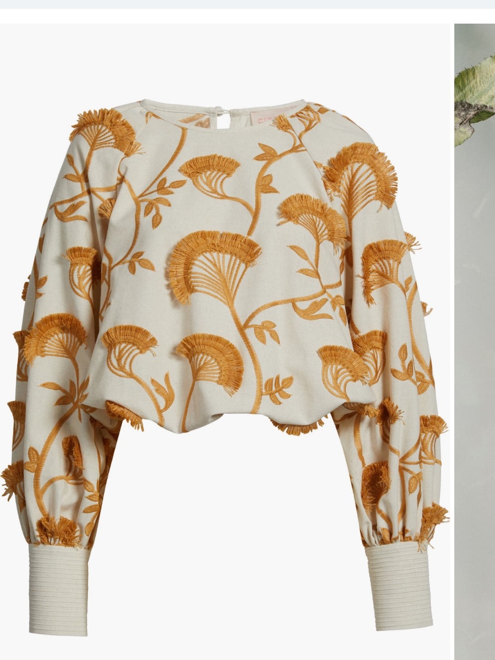 Ciebon Lenny embroidered long sleeve crop top. Size Large = 8